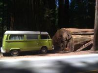 1977 westy