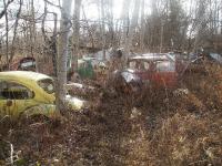 Private Junkyard