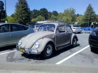 Clean Bug in Fairfax, CA.