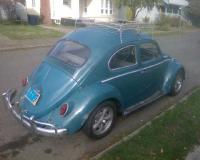 bug in the 'hood