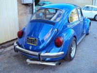 super beetle in France