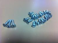 Size 4 Slotted oval head sheet metal screws for Early Ghia