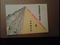 1954 tempo matador pamphlet
