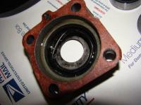 bad small nut axle seal