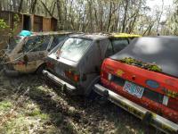 mossy water-cooled vw's