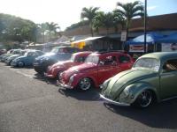 Vintage Vw club of Hawaii    Bugs in the Park