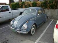 1959 Beetle