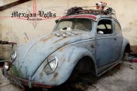 mexican volks