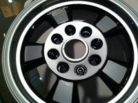 Painted Spokes black