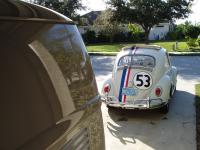 Herbie came to visit