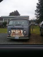 VWS around town