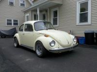 Super Beetle 1303