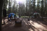 1966 Deluxe bus at camp site