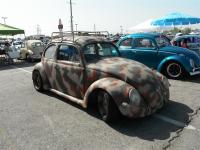 Camo Oval-Window Beetle