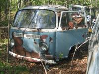 Buses in the bush