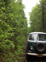 Talkeetna