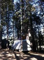 Camping trip in the 60 double door panel