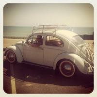 STOLEN 61 Bug - BURBANK CA