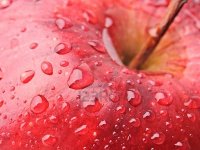 Eat an Apple Day