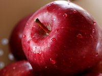 Eat an Apple Day