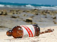 National Beer Day