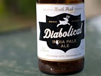 National Beer Day