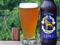 National Beer Day