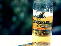 National Beer Day