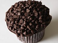 Happy Cupcake Day