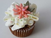 Happy Cupcake Day
