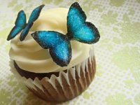 Happy Cupcake Day