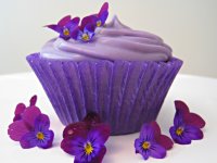 Happy Cupcake Day