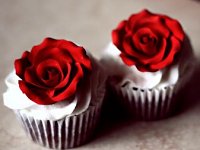 Happy Cupcake Day