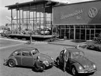 Dealerships