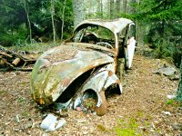 Decay