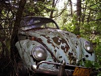 Decay