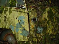 Decay