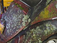Decay