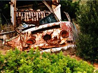 Decay