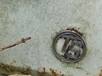 Decay