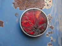 Decay
