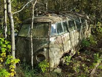 Decay