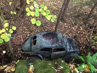 Decay