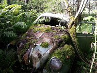 Decay