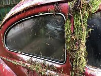 Decay