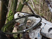 Decay