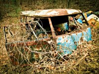 Decay