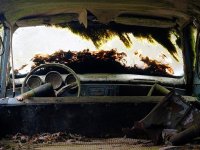 Decay