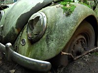 Decay