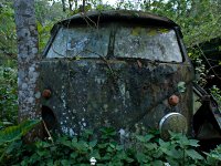Decay
